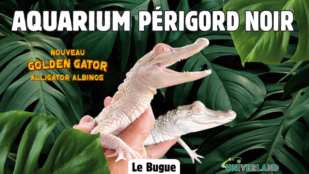 Aquarium crocodile proche camping saint avit